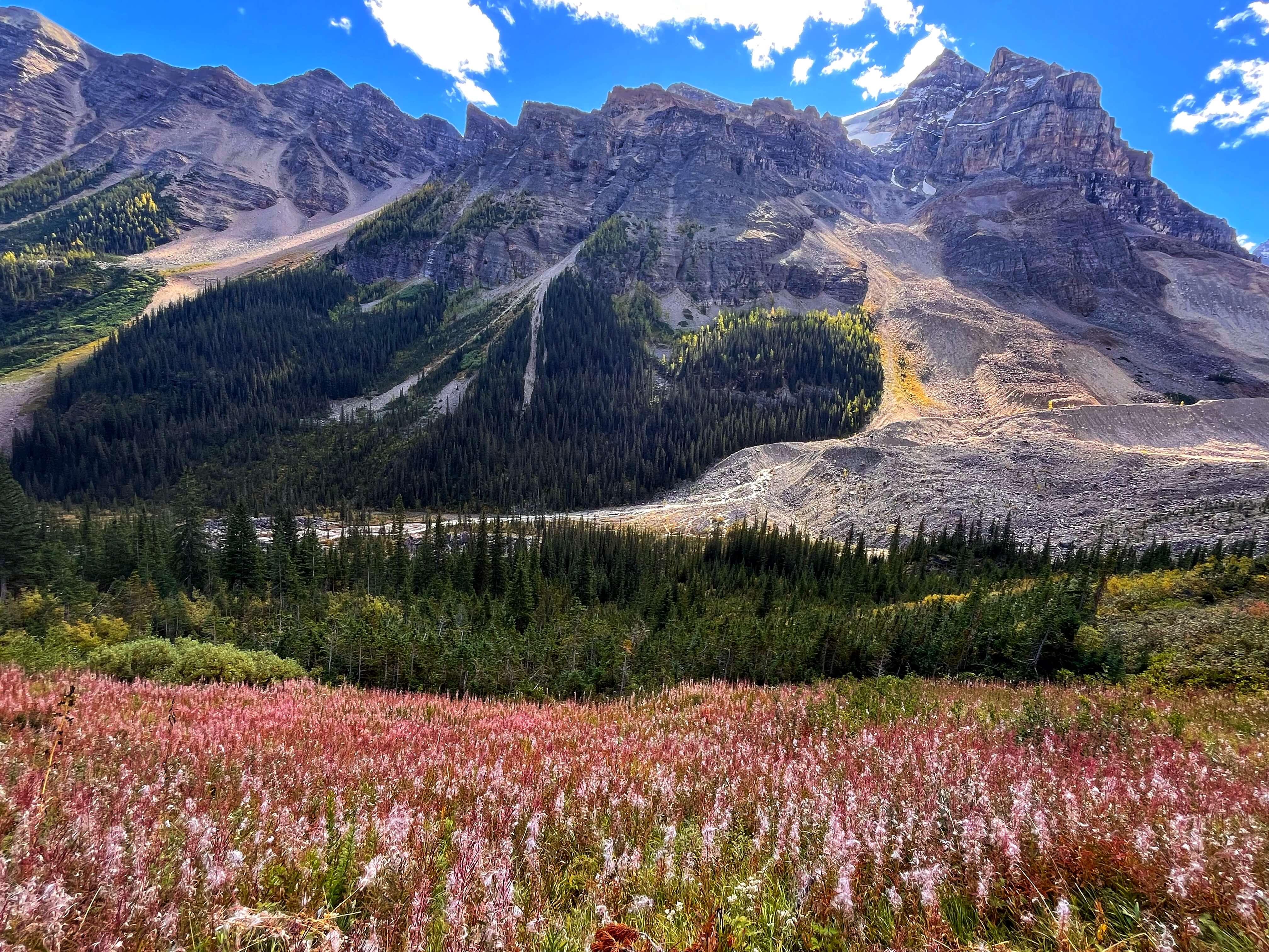 Plain of 6 Glaciers trail